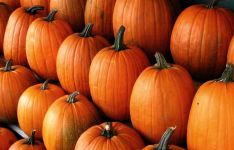 Pumpkins